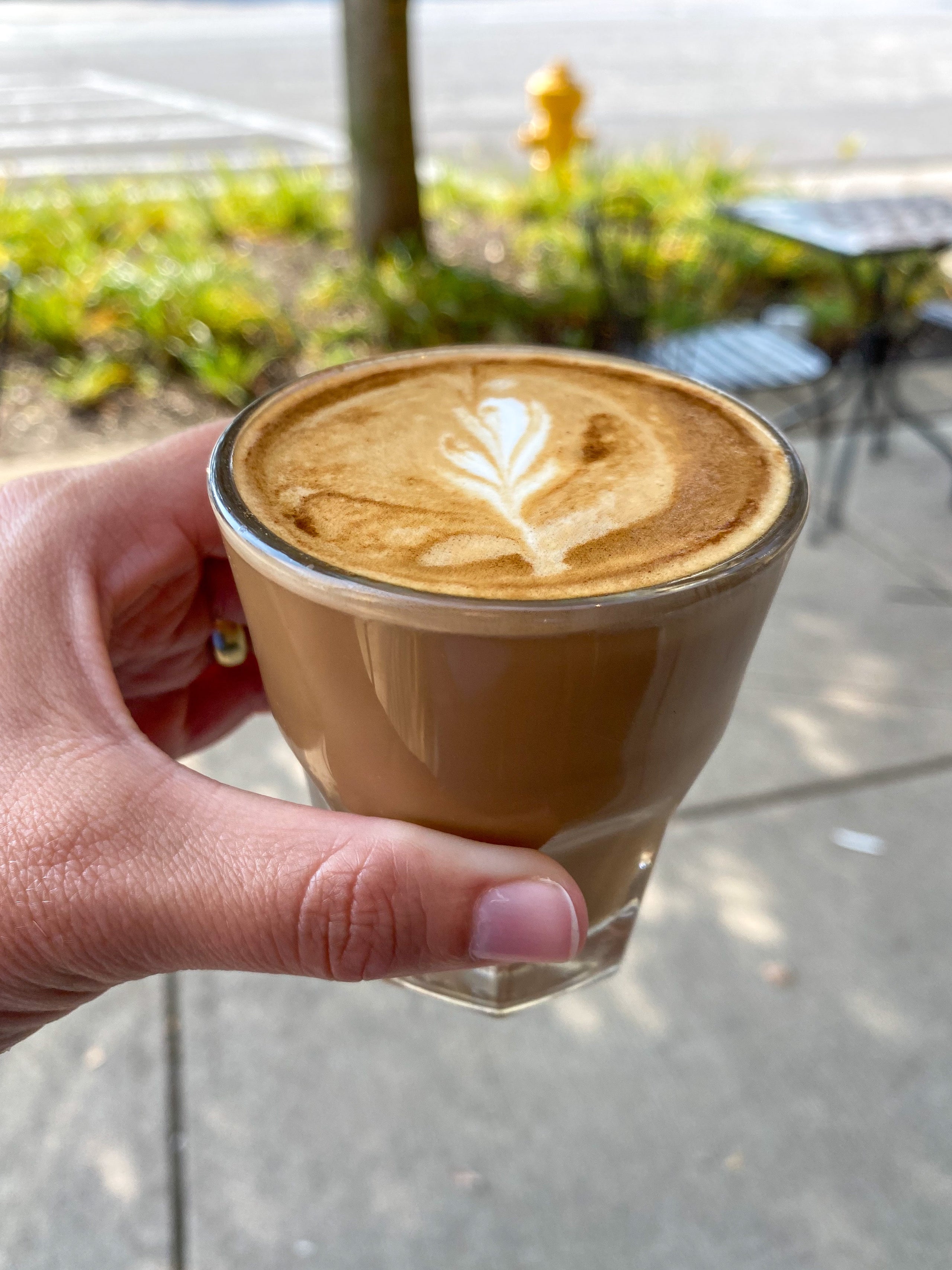 Cortado