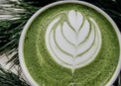 Ginger Maple Matcha